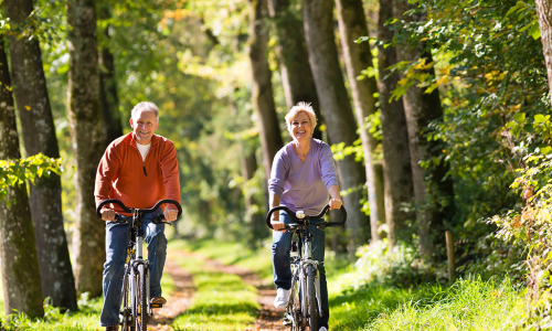 Zwei Personen auf dem Fahrrad fahren über einen Waldweg