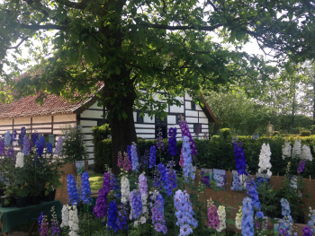 Ein Bauernhaus mit blühenden Blumen davor