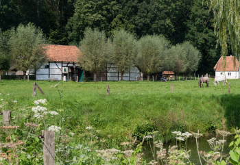 Fachwerkhäuser umgeben von Wiesen und Bäumen