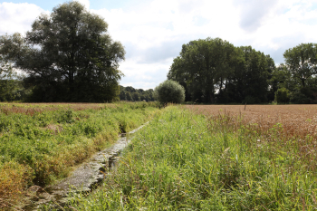 Entwässerungsgraben in einem Feld