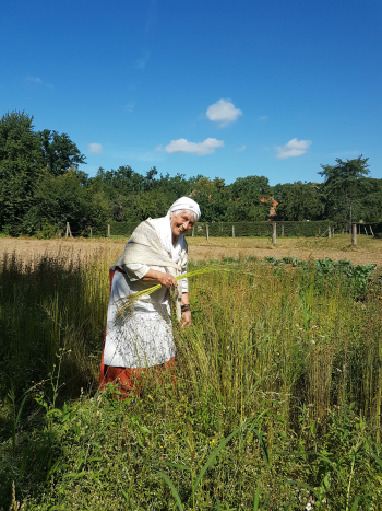 Frau erntet Flachs