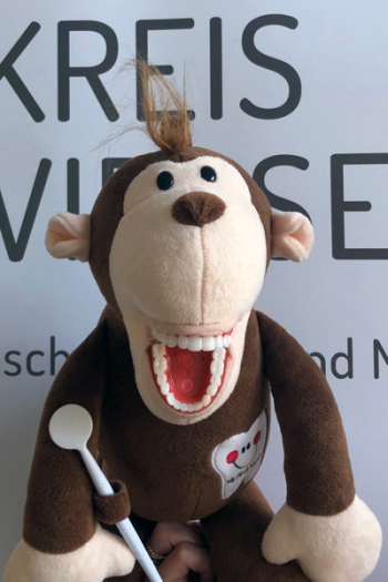 Portraitfoto einer Plüsch-Puppe mit dem Namen Bo Affe
