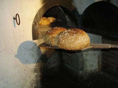 Brotlaibe werden aus Ofen geholt